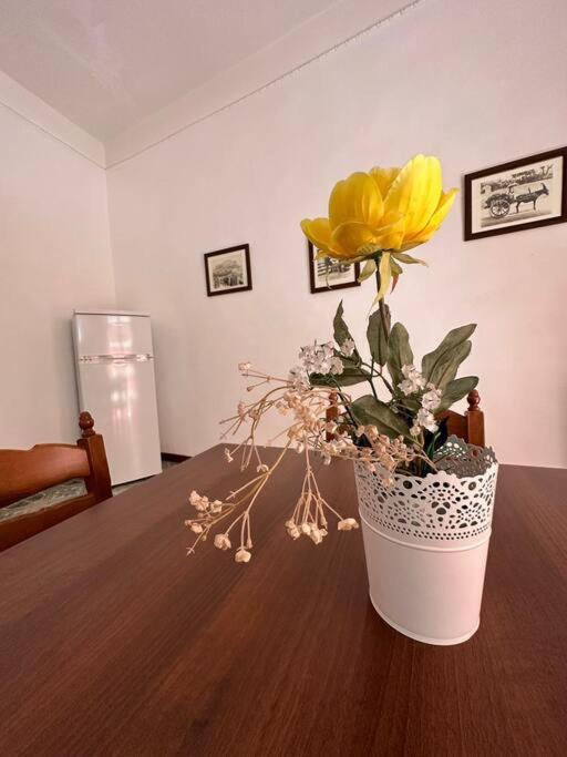 Passiu House Apartment Palermo Ngoại thất bức ảnh
